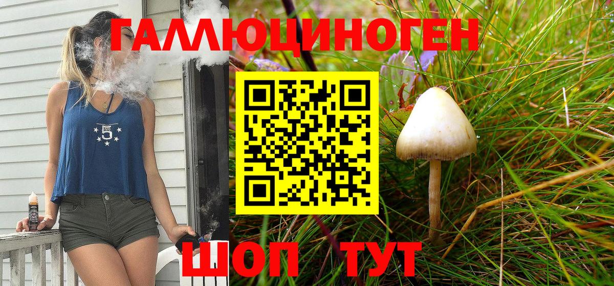 Псилоцибиновые грибы GOLDEN TEACHER Альметьевск
