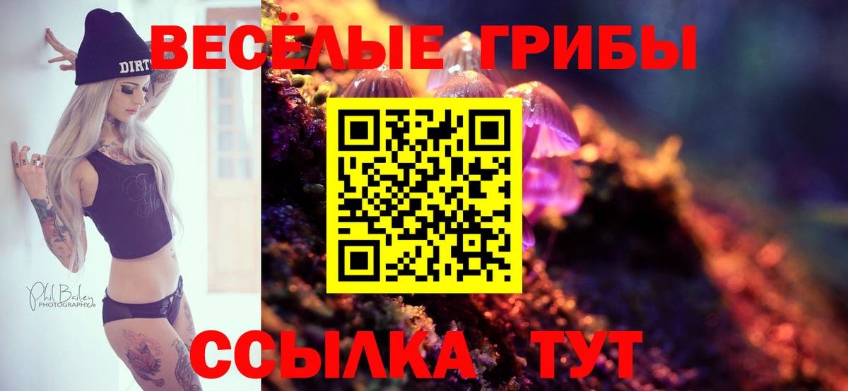 Галлюциногенные грибы Cubensis  Вход с VPN  сколько стоит  Альметьевск 